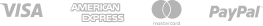 payment icons 1